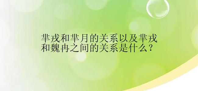 芈戎和芈月的关系以及芈戎和魏冉之间的关系是什么？