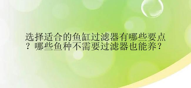 选择适合的鱼缸过滤器有哪些要点？哪些鱼种不需要过滤器也能养？