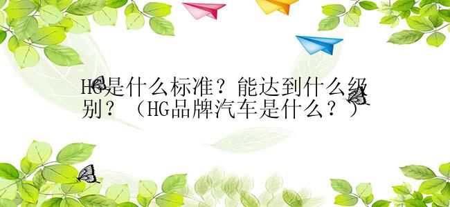 HG是什么标准？能达到什么级别？（HG品牌汽车是什么？）