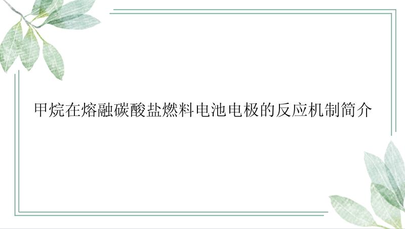 甲烷在熔融碳酸盐燃料电池电极的反应机制简介