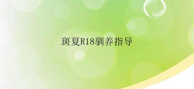 斑夏R18驯养指导