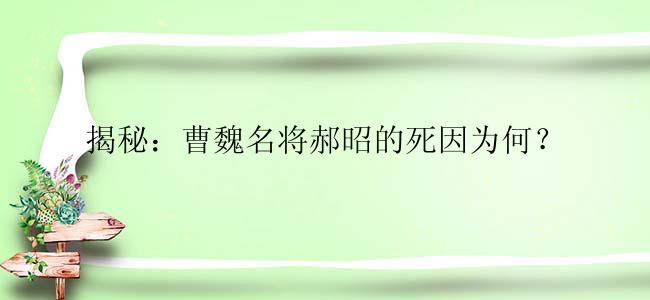 揭秘：曹魏名将郝昭的死因为何？