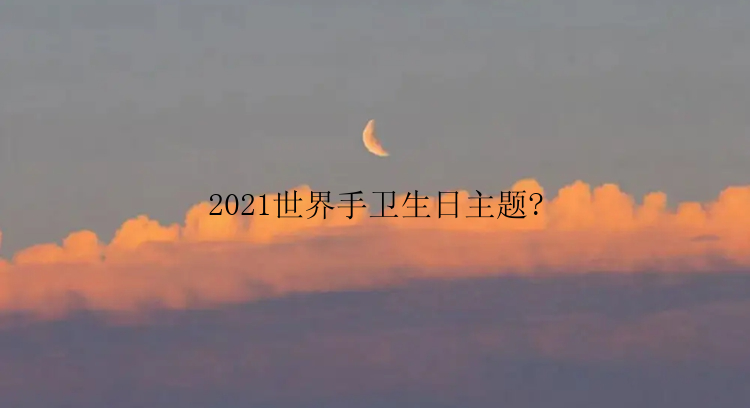 2021世界手卫生日主题?