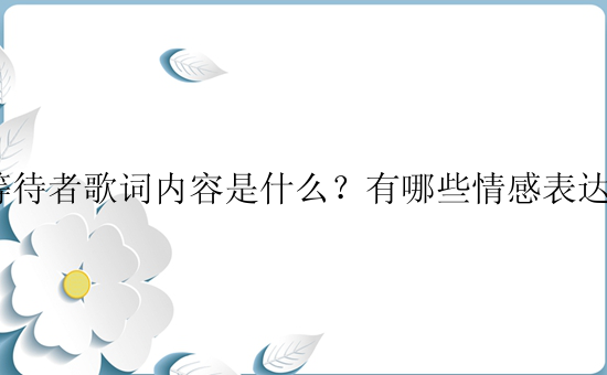 等待者歌词内容是什么？有哪些情感表达？