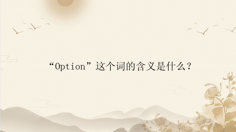 “Option”这个词的含义是什么？