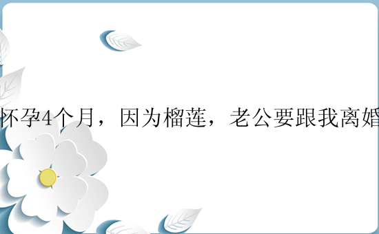 怀孕4个月，因为榴莲，老公要跟我离婚