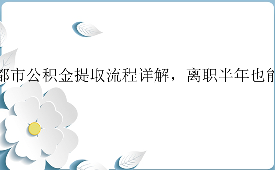 成都市公积金提取流程详解，离职半年也能提取