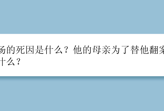 张汤的死因是什么？他的母亲为了替他翻案做了什么？