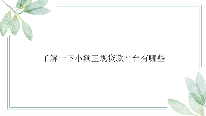 了解一下小额正规贷款平台有哪些