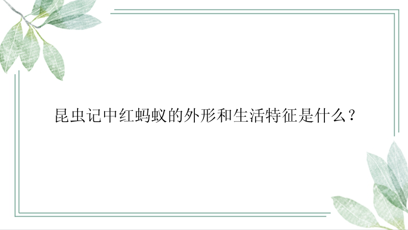 昆虫记中红蚂蚁的外形和生活特征是什么？