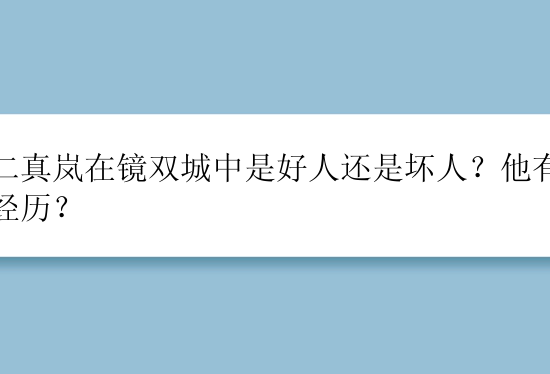 男二真岚在镜双城中是好人还是坏人？他有什么经历？