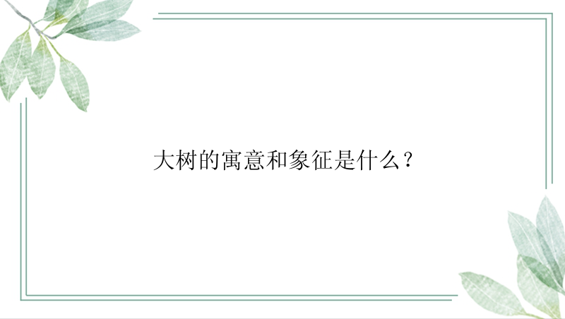 大树的寓意和象征是什么？