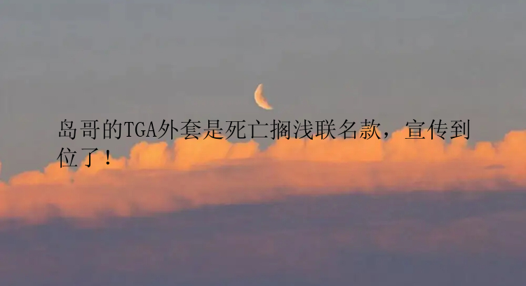岛哥的TGA外套是死亡搁浅联名款，宣传到位了！