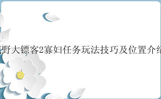 荒野大镖客2寡妇任务玩法技巧及位置介绍！