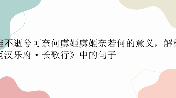 骓不逝兮可奈何虞姬虞姬奈若何的意义，解析《汉乐府·长歌行》中的句子