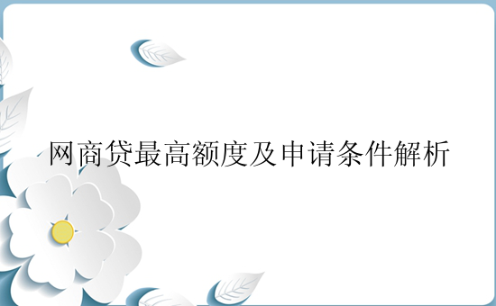 网商贷最高额度及申请条件解析