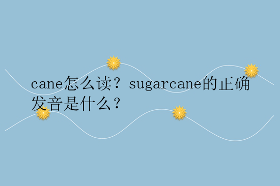 cane怎么读？sugarcane的正确发音是什么？