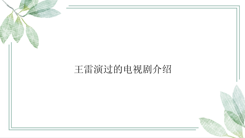 王雷演过的电视剧介绍