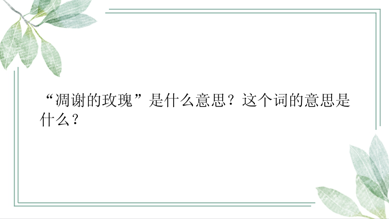 “凋谢的玫瑰”是什么意思？这个词的意思是什么？