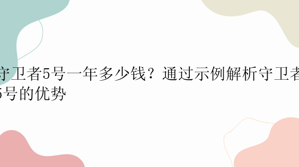 守卫者5号一年多少钱？通过示例解析守卫者5号的优势