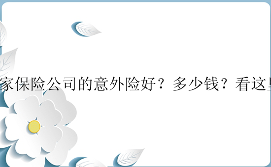 哪家保险公司的意外险好？多少钱？看这里！