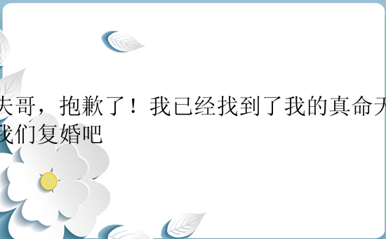 前夫哥，抱歉了！我已经找到了我的真命天子，我们复婚吧