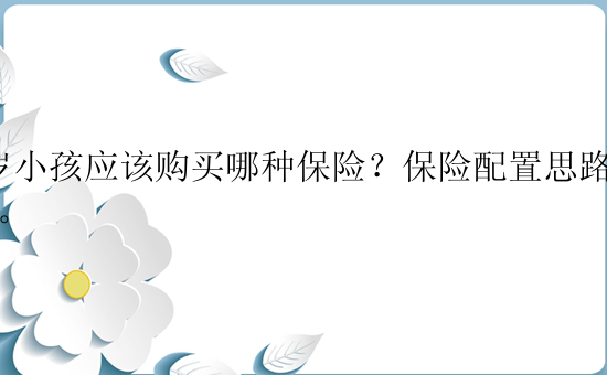 2岁小孩应该购买哪种保险？保险配置思路分享。