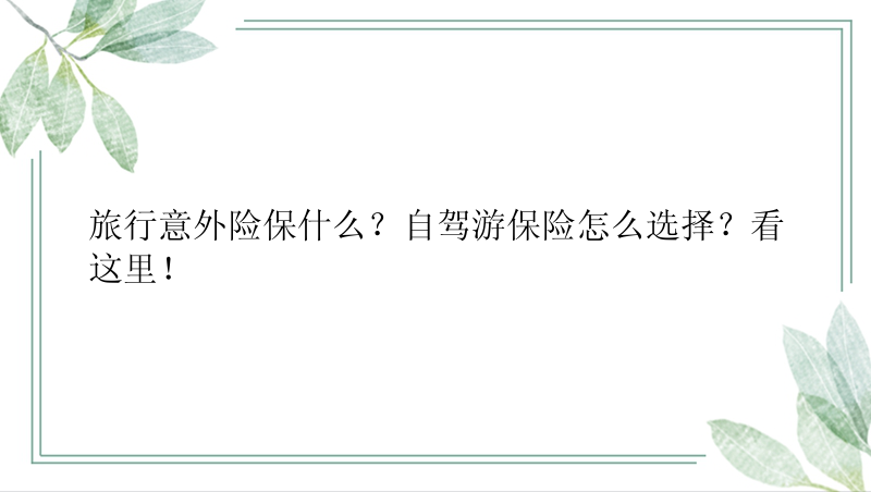 旅行意外险保什么？自驾游保险怎么选择？看这里！