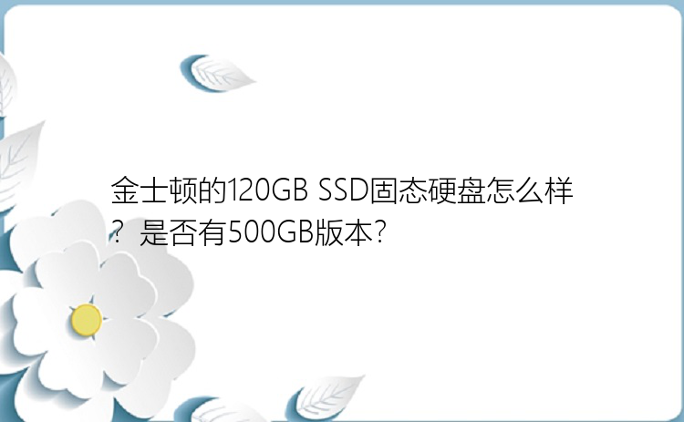 金士顿的120GB SSD固态硬盘怎么样？是否有500GB版本？