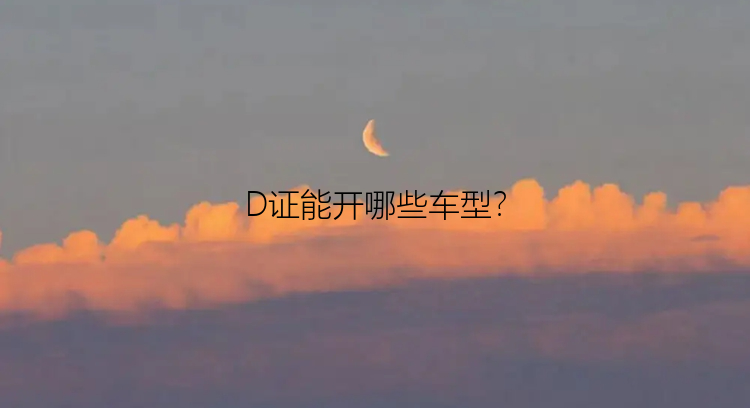 D证能开哪些车型？