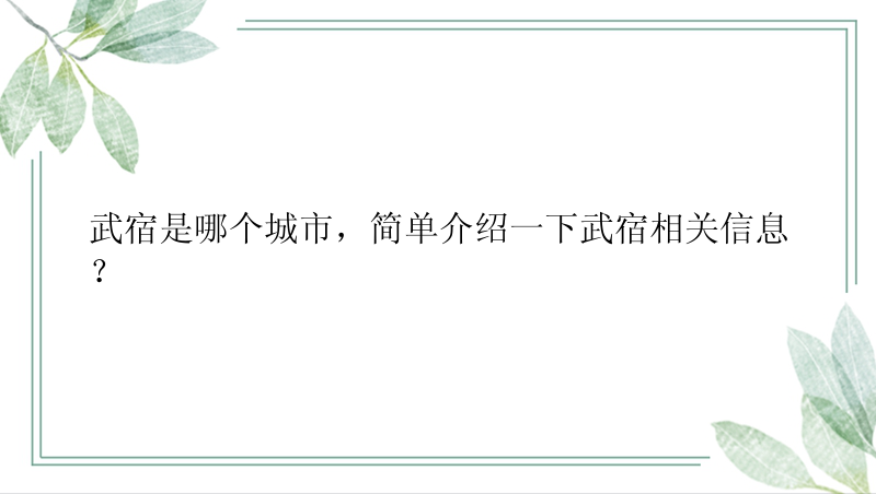 武宿是哪个城市，简单介绍一下武宿相关信息？