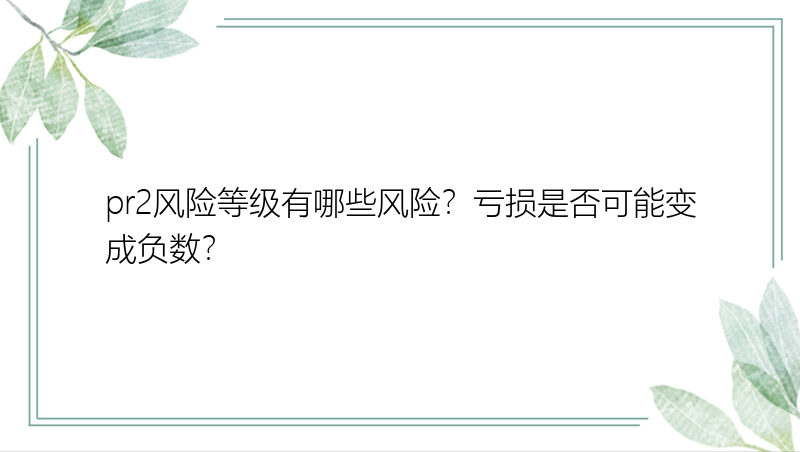 pr2风险等级有哪些风险？亏损是否可能变成负数？