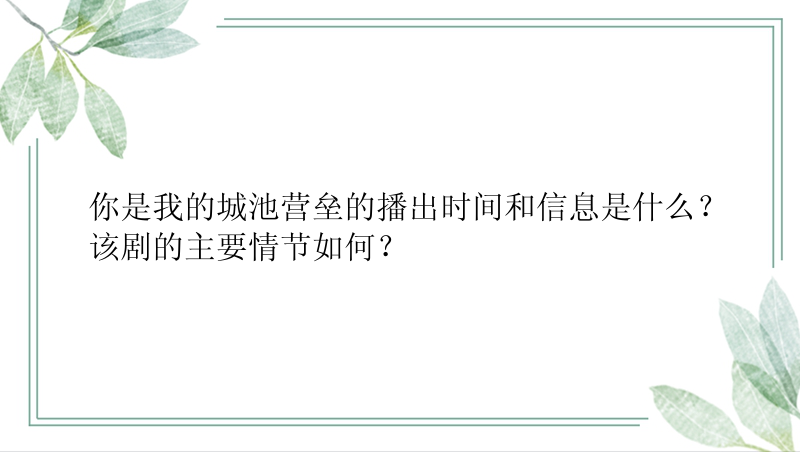 你是我的城池营垒的播出时间和信息是什么？该剧的主要情节如何？