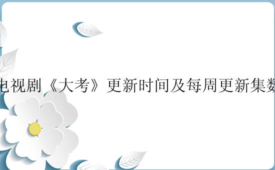 电视剧《大考》更新时间及每周更新集数