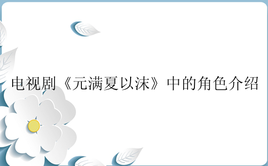 电视剧《元满夏以沫》中的角色介绍