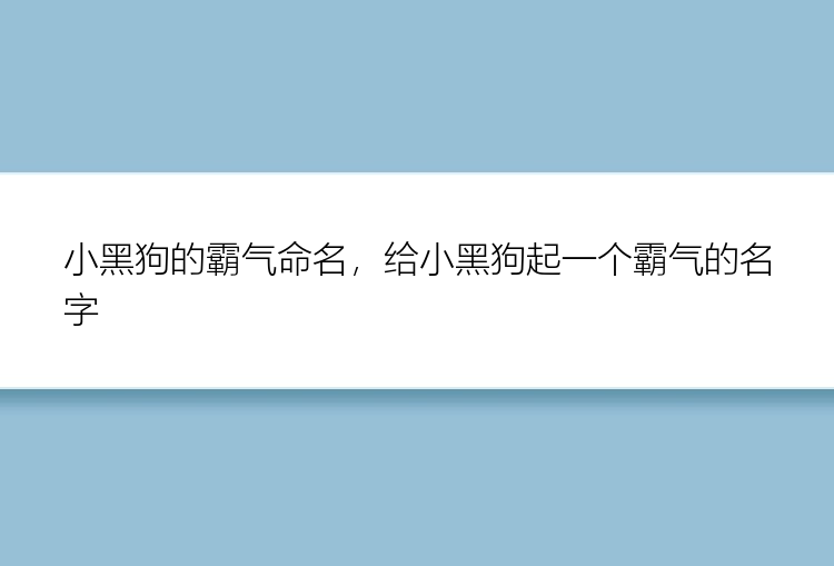 小黑狗的霸气命名，给小黑狗起一个霸气的名字