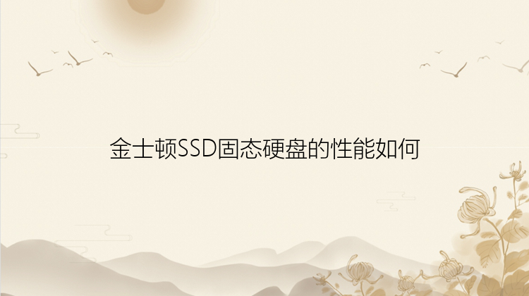 金士顿SSD固态硬盘的性能如何