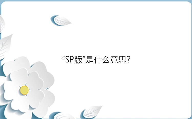 “SP版”是什么意思？