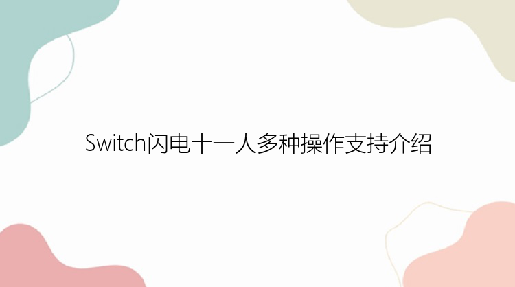 Switch闪电十一人多种操作支持介绍