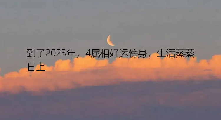 到了2023年，4属相好运傍身，生活蒸蒸日上