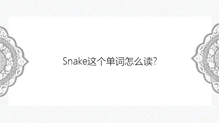 Snake这个单词怎么读？