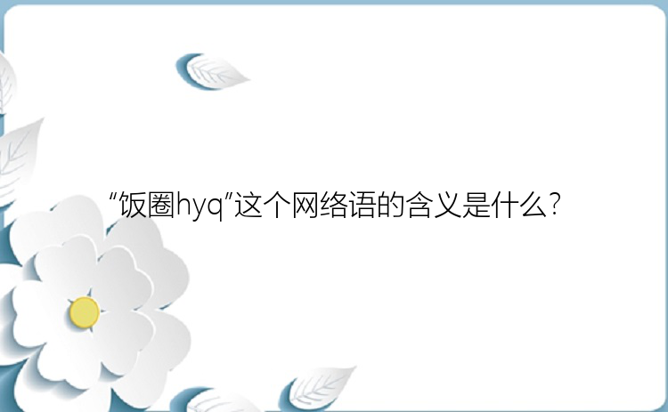 “饭圈hyq”这个网络语的含义是什么？