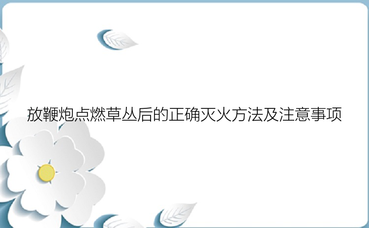 放鞭炮点燃草丛后的正确灭火方法及注意事项