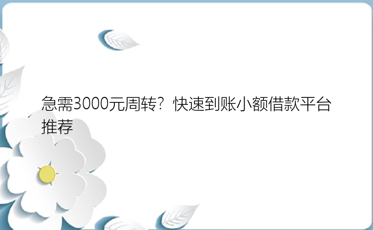 急需3000元周转？快速到账小额借款平台推荐