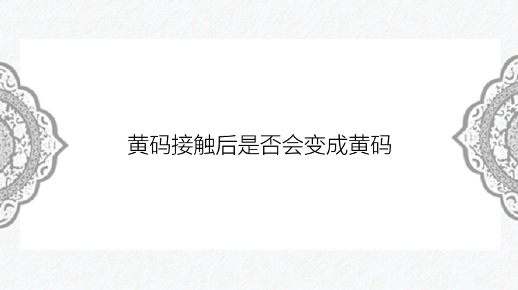 黄码接触后是否会变成黄码