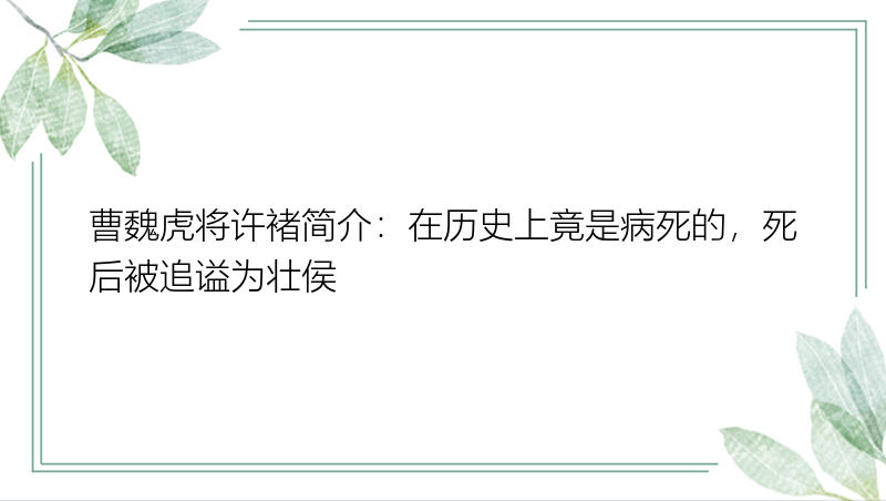 曹魏虎将许褚简介：在历史上竟是病死的，死后被追谥为壮侯