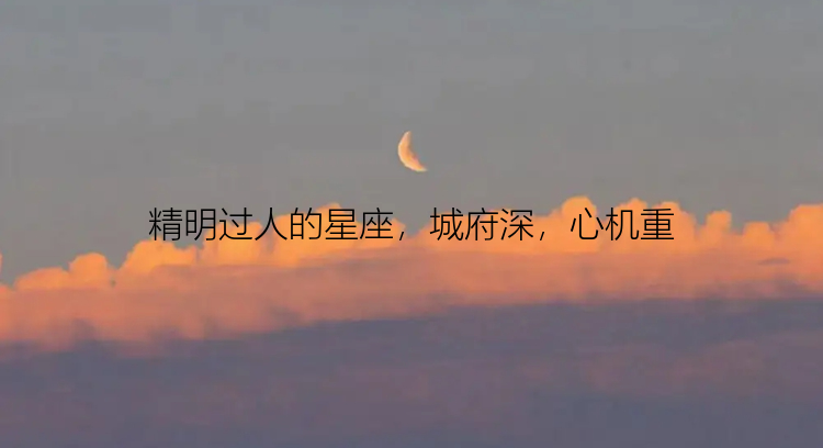 精明过人的星座，城府深，心机重