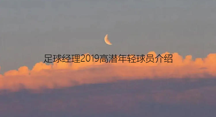 足球经理2019高潜年轻球员介绍