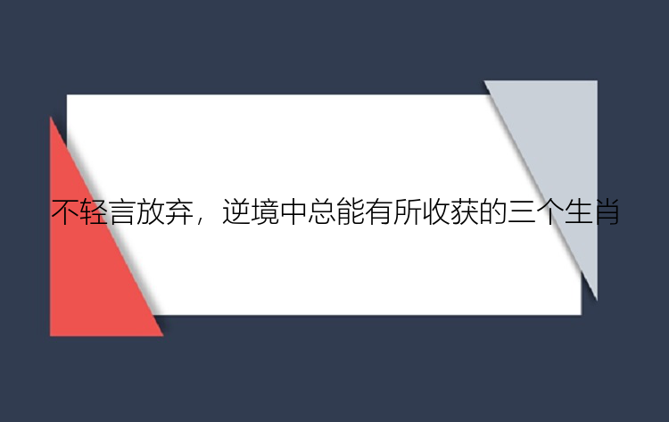 不轻言放弃，逆境中总能有所收获的三个生肖