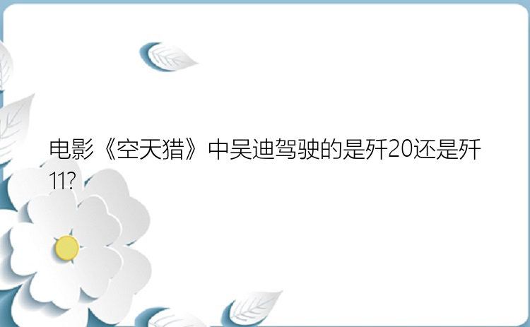 电影《空天猎》中吴迪驾驶的是歼20还是歼11？